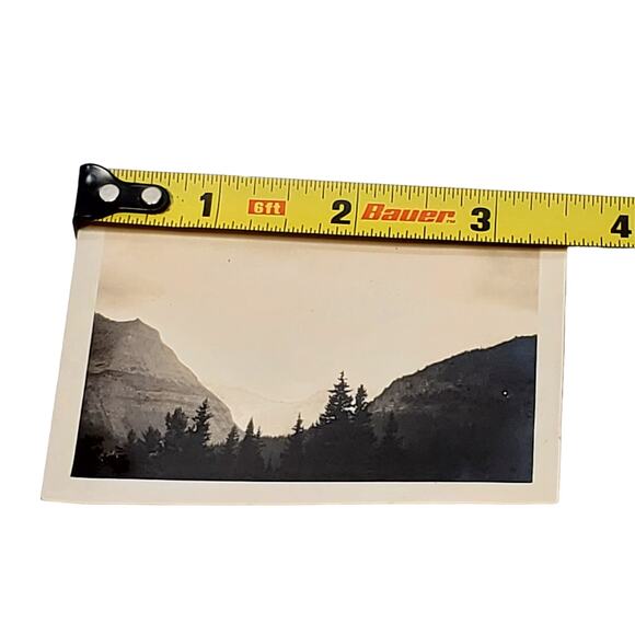 Vtg B&W Photo Found 1940s Yellowstone Nat Park Trees Mountain Top View Snapshot - Picture 4 of 4